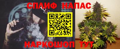 бошки Гатчина