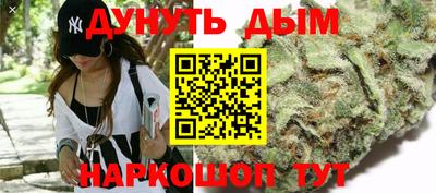 бошки Гатчина