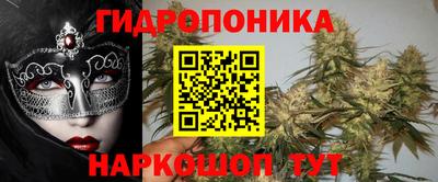 бошки Гатчина