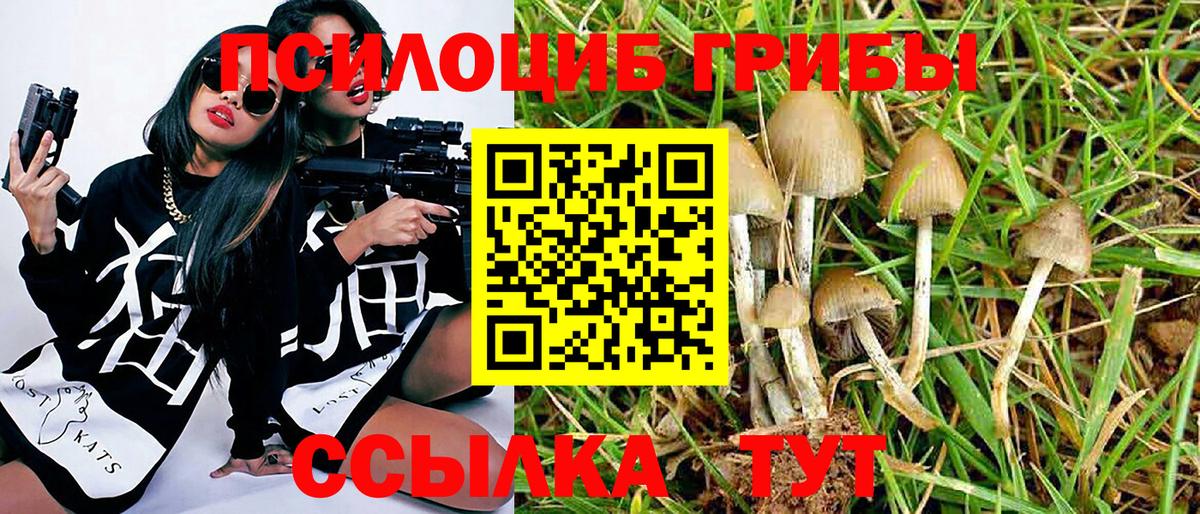 Галлюциногенные грибы GOLDEN TEACHER  Псилоцибиновые грибы прущие грибы  Вход с VPN  Всеволожск 
